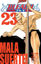 Bleach 23. Cilt